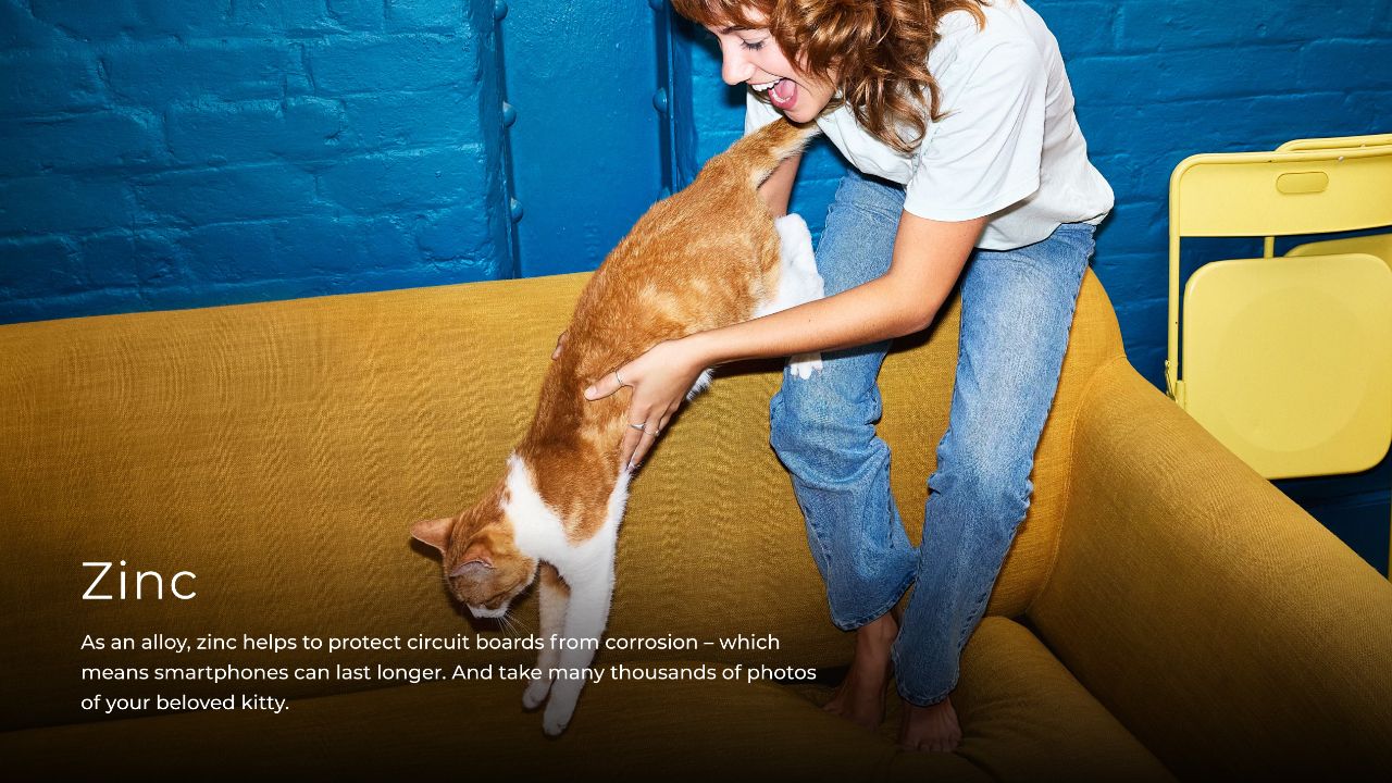 2025-swisscampaign-zink-katze-en