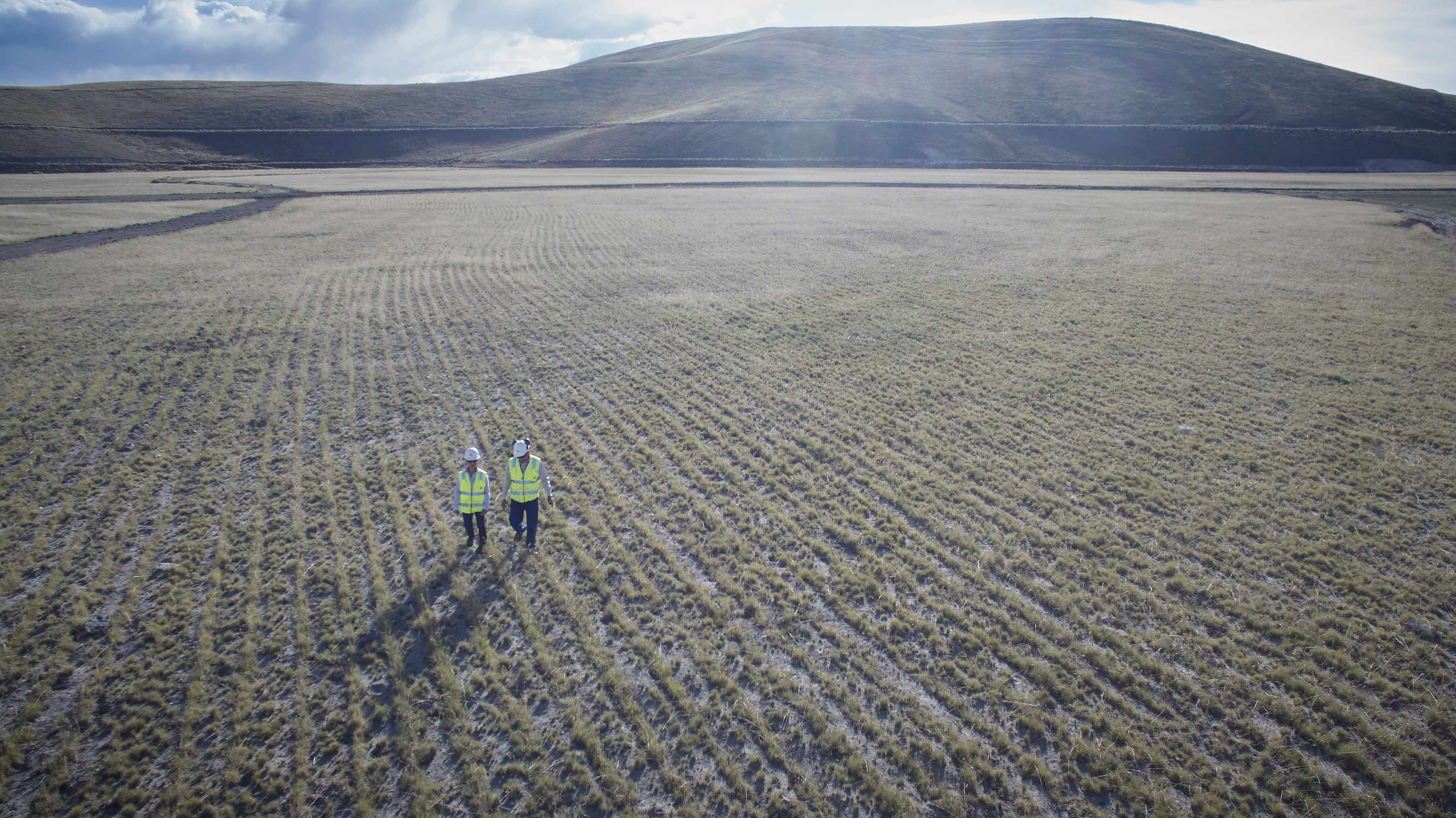 Restoring land our work in land rehabilitation