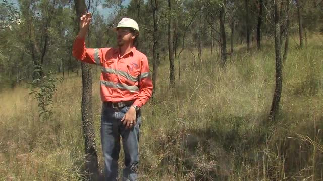 Excellence in mine rehabilitation: Mount Owen, Australia
