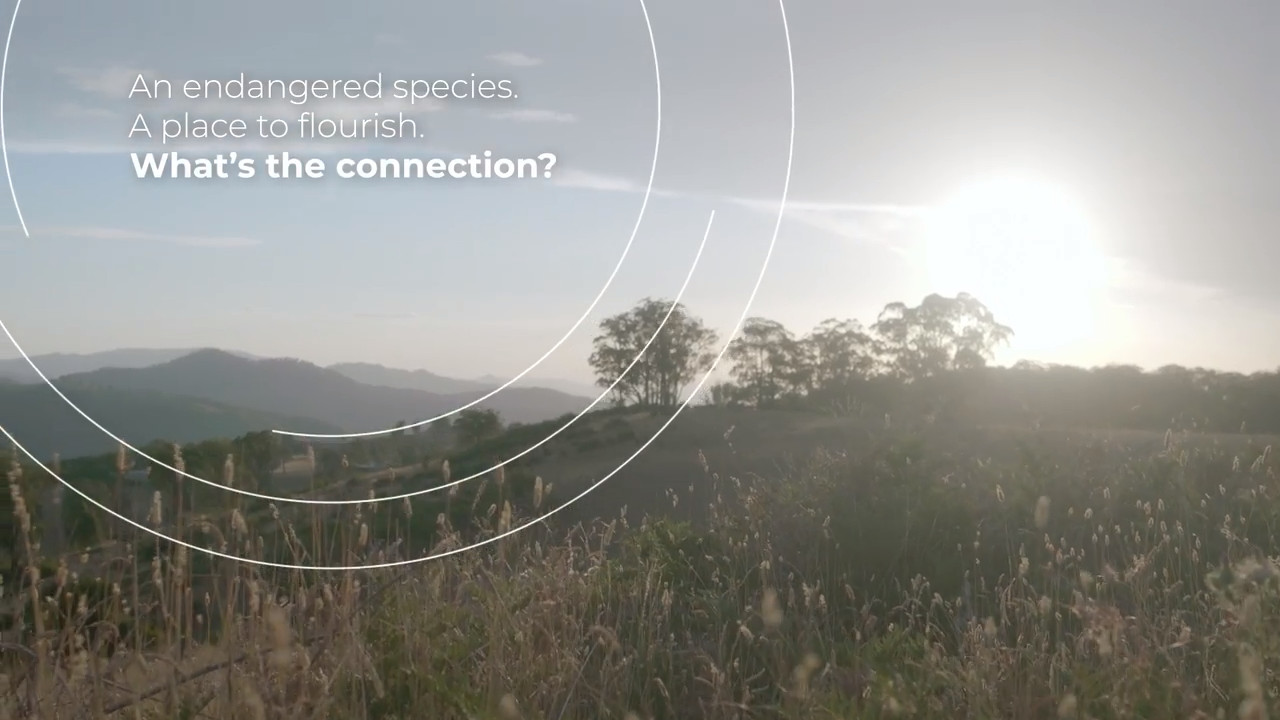 Aussie Ark helps local wildlife flourish